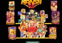 Hansa55ทางเข้าเว็บสล๊อตอันดับ1